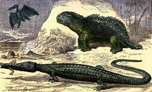 Őstörténet – jura időszak: A teleoszaurusz és a hyleoszaurusz. A Pterodactyl az emeleten. Természetes teremtés és élőlények. A. Demarle rajza. 1885