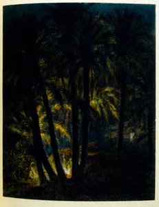 Dinet illusztrációja a "Káprázatok" arab életképekből. 1906. A Mirages, Scenes De La Vie Arab című kötetet Etienne Dinet illusztrálta Silman Ben Ibrahim Bamer kommentárjával. Nasreddine Dinet Alphonse-Etienne Dinet néven született; (1861-1929) francia szár alkotó: Alphonse Etienne Dinet