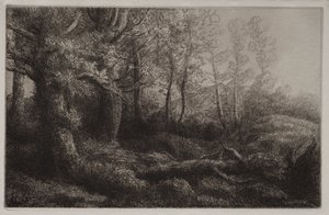 Egy erdővidéki tanulmány alkotó: Alphonse Legros