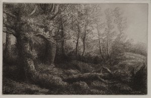 Egy erdővidéki tanulmány. alkotó: Alphonse Legros