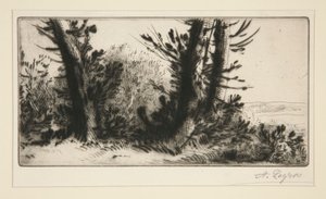 Travers bajnok (országszerte) alkotó: Alphonse Legros
