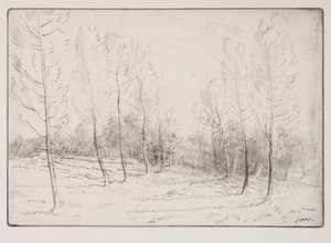 Nyárfák sugárútja alkotó: Alphonse Legros