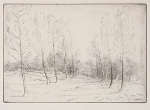 Nyárfák sugárútja. alkotó: Alphonse Legros