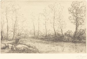 Nyírfák: Hajnali fényben látható víz széle Nyírfák: Hajnali fényben látható víz széle. alkotó: Alphonse Legros