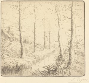 Nyírfák a víz mentén Nyírfák: Víz széle. alkotó: Alphonse Legros