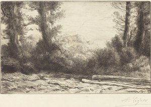 Egy fa Lisiere de bois széle. alkotó: Alphonse Legros