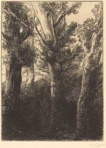 Német Erdő, Downley. alkotó: Alphonse Legros