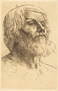 Férfifej alkotó: Alphonse Legros
