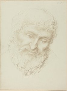 Egy férfi feje alkotó: Alphonse Legros