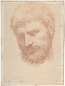 Egy férfi feje alkotó: Alphonse Legros