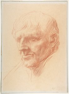 Egy férfi feje alkotó: Alphonse Legros