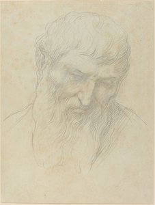 Egy göndör hajú és szakállú férfi feje. alkotó: Alphonse Legros