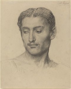 Egy fiatalember feje. alkotó: Alphonse Legros
