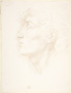 Egy ír lány feje alkotó: Alphonse Legros