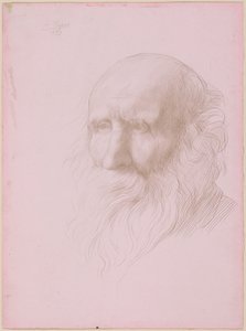 Egy öregember fejtanulmánya alkotó: Alphonse Legros
