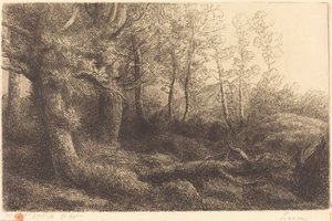 Az erdőben (Lisiere de foret) alkotó: Alphonse Legros