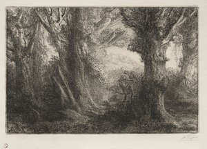 A Conteville-i erdőben. alkotó: Alphonse Legros
