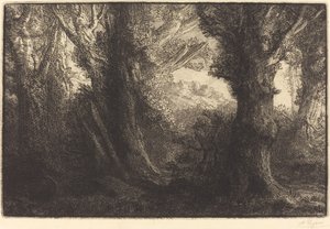 Conteville erdőjében (Dans la foret de Conteville) alkotó: Alphonse Legros
