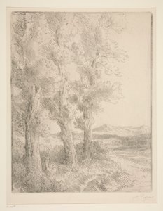 Olvasó nő: lecke a fák alatt alkotó: Alphonse Legros