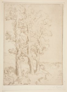 Olvasó nő: lecke a fák alatt alkotó: Alphonse Legros