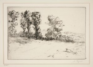 Le pre ensoleille (Rét a napsütésben) alkotó: Alphonse Legros
