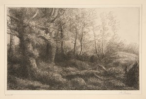 erdőszéli alkotó: Alphonse Legros
