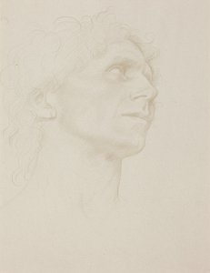 Egy nő fejének tanulmánya, jobbra fordulva alkotó: Alphonse Legros