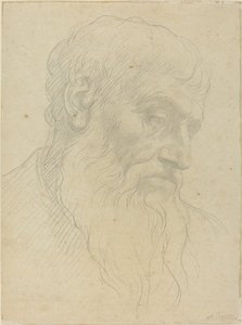 Egy fej tanulmányozása. alkotó: Alphonse Legros