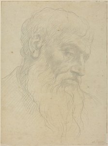 Egy fej tanulmányozása alkotó: Alphonse Legros