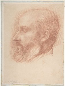 Férfifej-tanulmány alkotó: Alphonse Legros