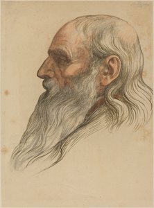 Tanulmány a teljes szakállú férfifejről alkotó: Alphonse Legros