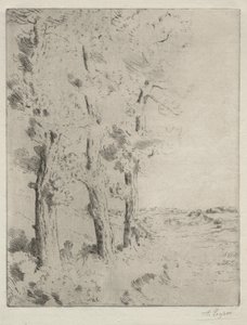Az olvasó: Az előadás a fák alatt c. 1882. alkotó: Alphonse Legros