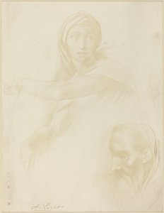 Delphoi Sibill tanulmánya; Egy ember feje alkotó: Alphonse Legros after Michelangelo