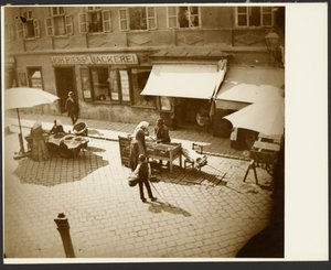 [Kilátás Mucha lakásának ablakából, az Amalienstrasse közelében, München] alkotó: Alphonse Maria Mucha