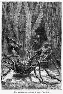 Pókrák, illusztráció Jules Verne (1828-1905) „20 000 liga a tenger alatt” című művéből, Henri Theophile Hildibrand (1824-97) metszete, Párizs, Hetzel, 1877. alkotó: Alphonse Marie de Neuville
