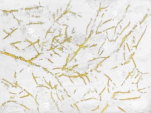 Aranyszínű organikus textúra alkotó: Alyson Storms