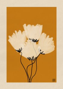 Meleg, minimalista pipacsok alkotó: Amaze Atelier