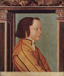 Barna hajú fiú