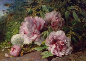 Tanulmány a bazsarózsáról, 1874 alkotó: Amedee Baudit