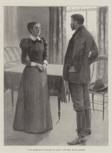 Mr Bilson házvezetőnője, Bret Harte