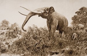 The Chatham Elephant, illusztráció H.G. Wells „The Outline of History” című művéből, I. kötet, 1920-ban (litho)