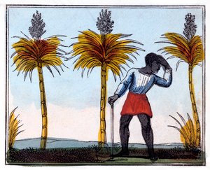 Cukornád vágása, 1826 alkotó: Amelia Alderson Opie