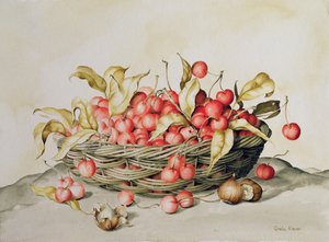 Kosár cseresznye, 1998 (wc papíron) alkotó: Amelia Kleiser