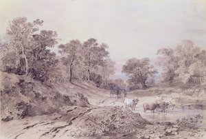 Országút a fák között alkotó: Amelia Long