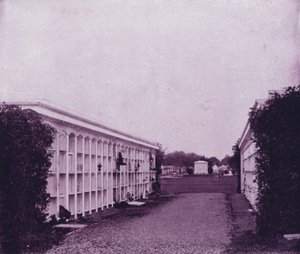 Avenue of Tombs in Washington Cemetery, New Orleans (f/w fotó) alkotó: American Photographer (after)