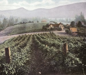 Oregon: Változatos gazdálkodás a Willamette-völgyben (fotó) alkotó: American Photographer (after)