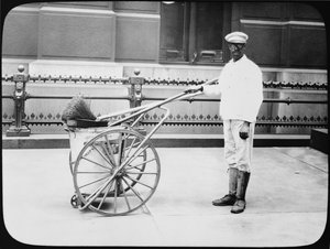 City Street Cleaner, Philadelphia, 1920 körül alkotó: American Photographer