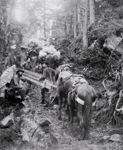 A Dyea-ösvény megmászása a Chilkoot-hágó felé vezető úton a Klondike-i aranyláz idején (1897-98) (f/w fotó) alkotó: American Photographer