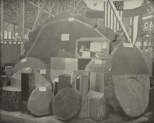 Gladstones Axe alkotó: American Photographer