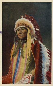Hollow Horn Bear, sziú indián törzsfőnök (fotó) alkotó: American Photographer